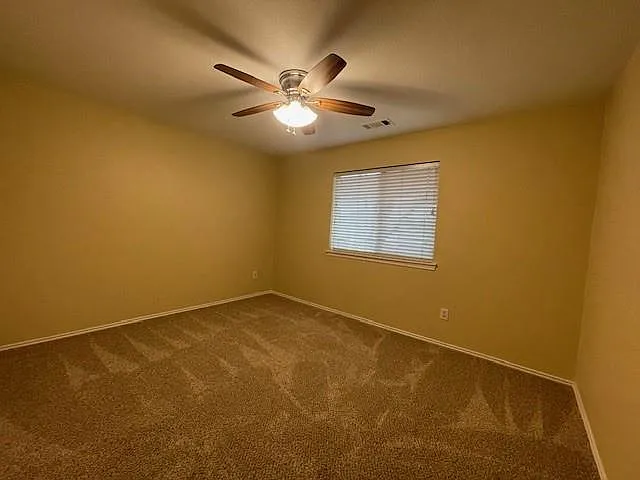 Picture 27