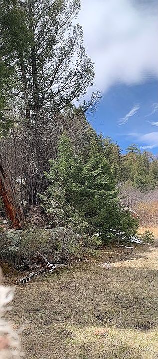 2nd image of 249 Slater Creek Dr