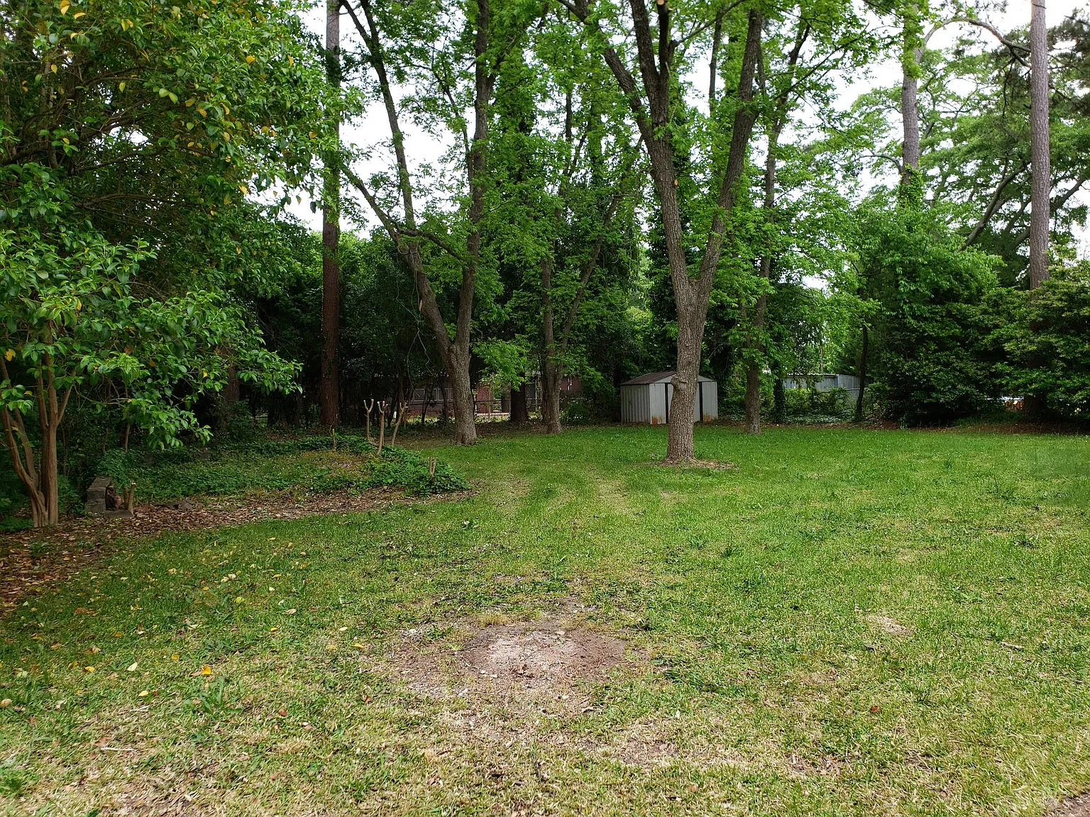 2 bed, 980 sqft, $1,350 — Photo 3
