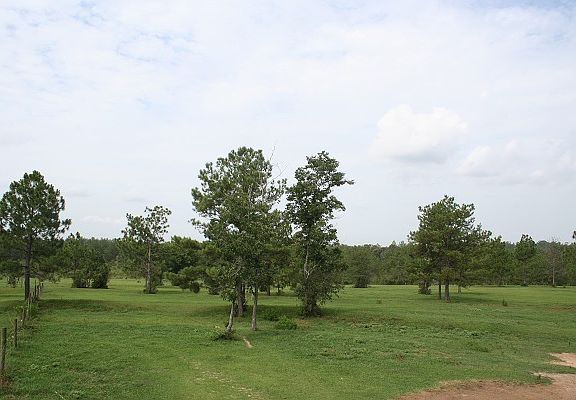 3rd image of 1001 Rockin J Farm Rd