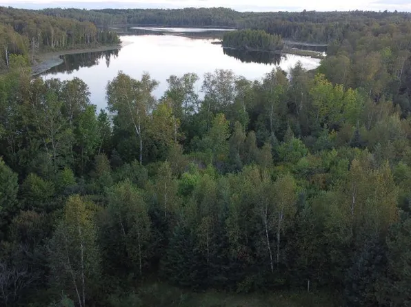 PARCEL E Gunn Lake Trl #B, Marcell, MN 56657