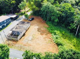 680 Bo Cuchillas, Corozal, PR 00783