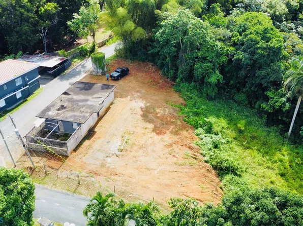 680 Bo Cuchillas, Corozal, PR 00783