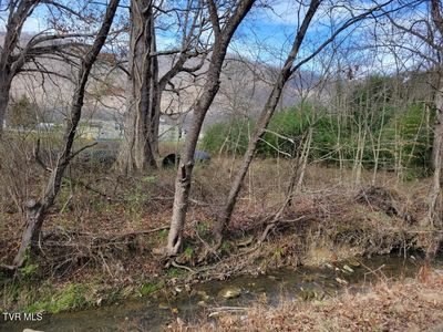 Shawnee Ave E, Big Stone Gap, VA, 24219