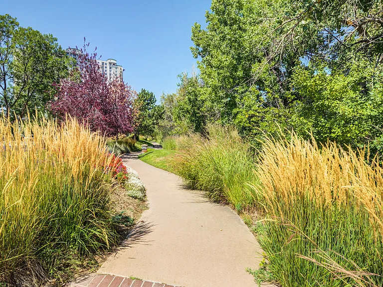 IMT Cherry Creek — Photo 39