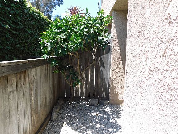 3rd image of 18861 Smokewood Cir APT 3