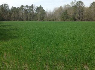 268 Leahs Loop, Greeleyville, SC 29056