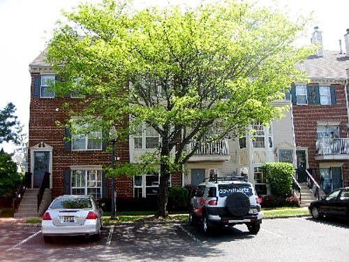2nd image of 47 Dogwood St