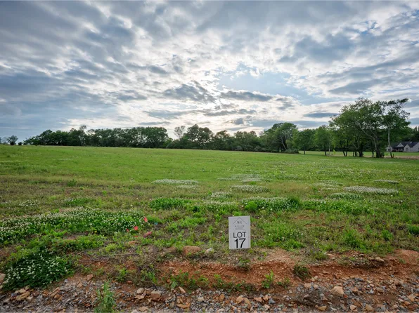 24 Watson Ct, Leoma, TN 38468