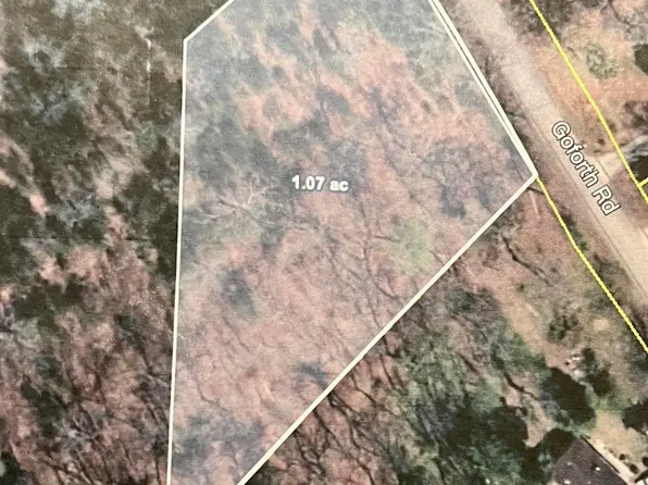 0 Goforth Rd, Landrum, SC 29356