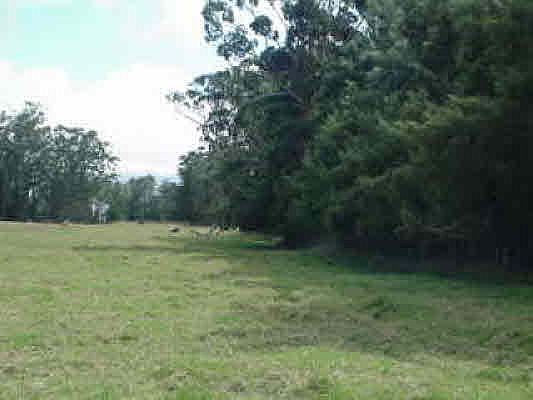 1st image of 64-370 Mamalahoa Hwy Lot 115