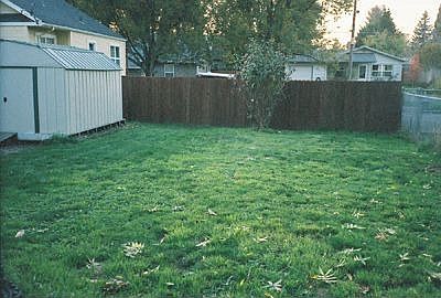 Large Backyard