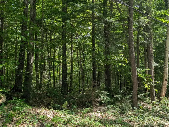 lot 36-C Diller Line, Chesterville, ME 04938