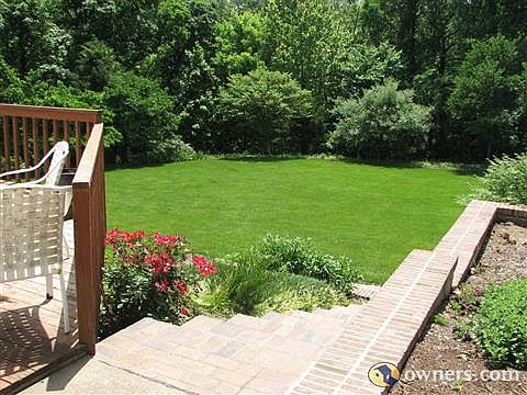 Steps down into back yard