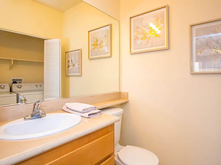 Colony Townhomes — Photo 100