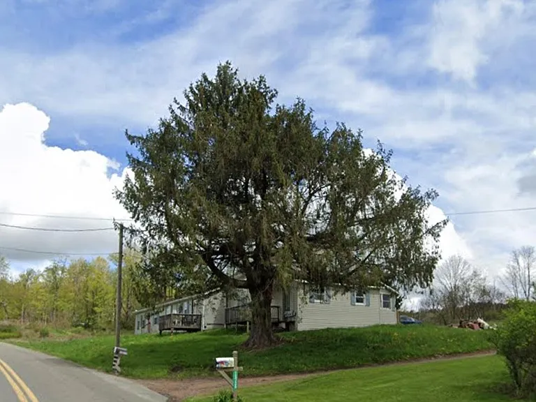 15719 Dimock To Nicholson Rd #3 — Photo 9