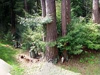 1st image of 1649 Lori Ln