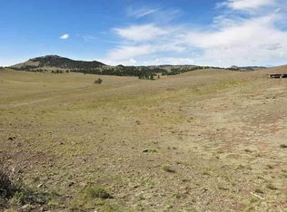 67 Milner Rd, Hartsel, CO 80449