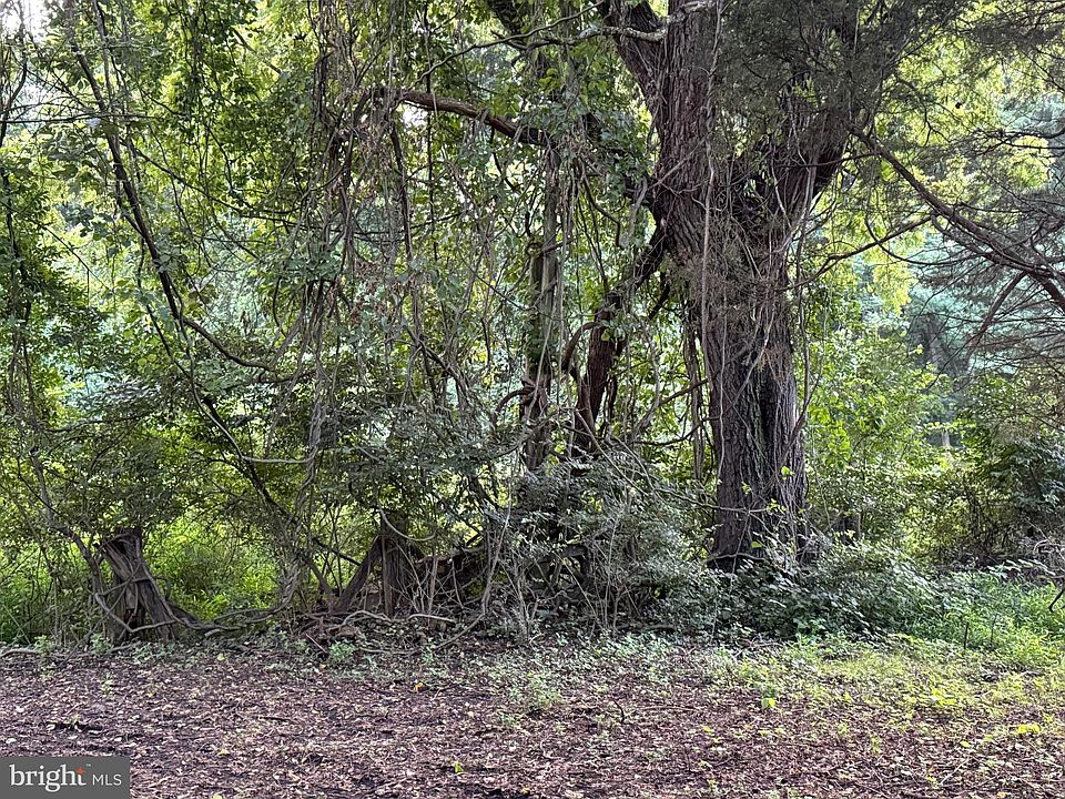 2nd image of 5812 Dimes Rd