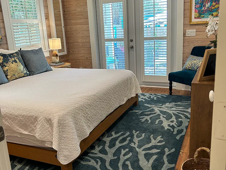 Downstairs bedroom