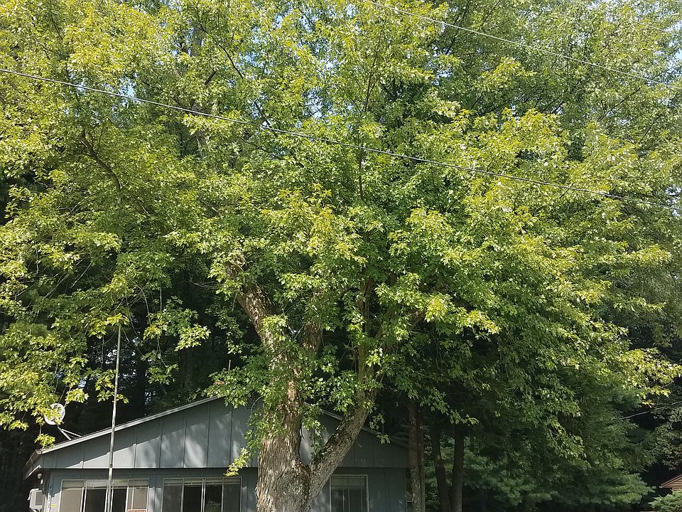 1st image of 4359 Leisure Ln