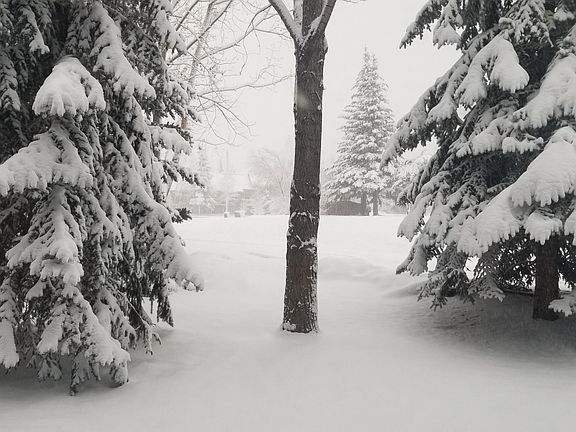 Winter view out living room/off patio