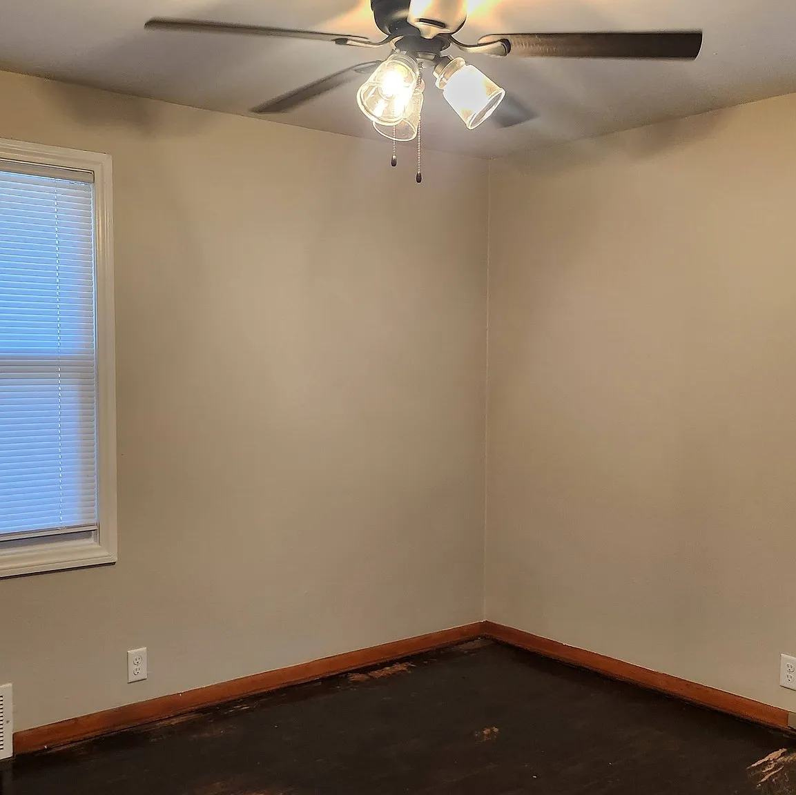 1 bed, $725 — Photo 4