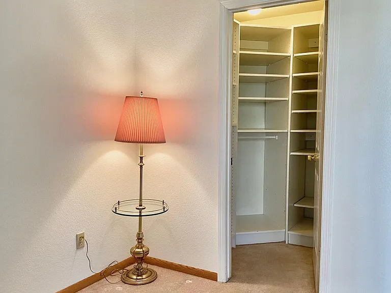 downstairs bedroom 1 with walk-in closet