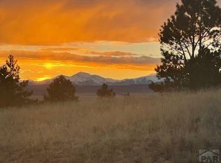 1043 Running Bear Rd, Hartsel, CO 80449