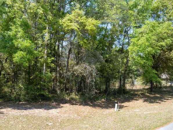 206 SW Greenwood Ter, Fort White, FL 32038