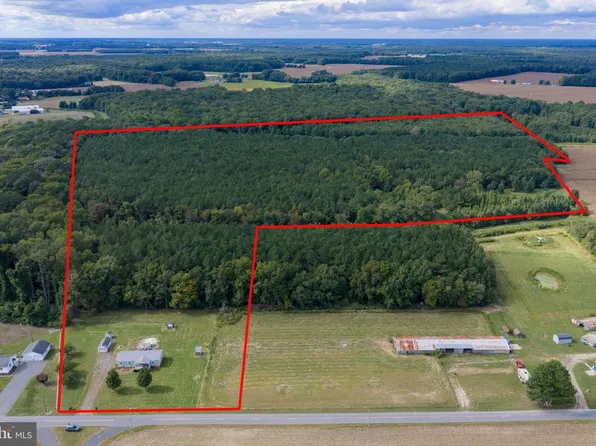 12201 Blueberry Rd, Whaleyville, MD 21872