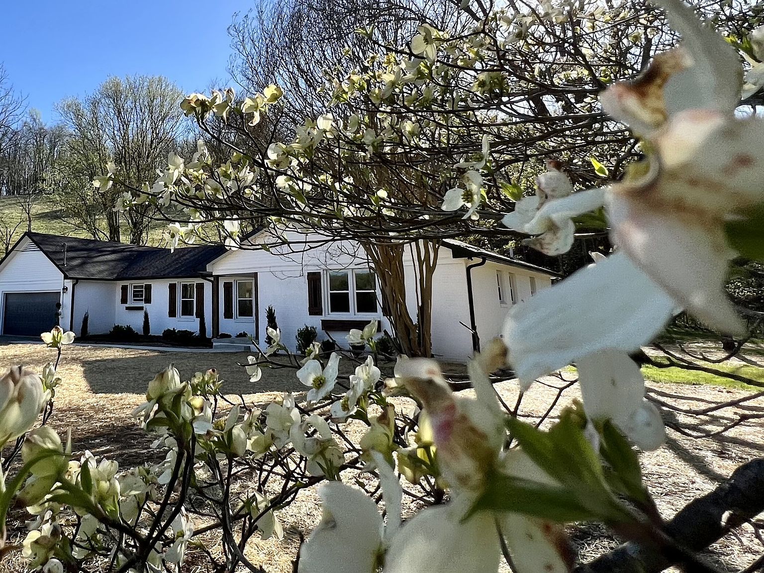 1693 Farris Creek Bridge Rd, Belvidere, TN 37306 Zillow