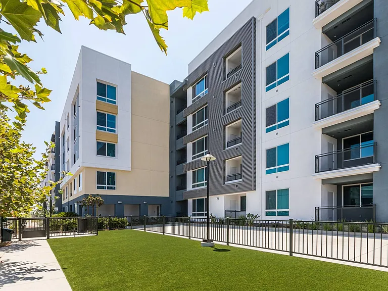 Rize Irvine — Photo 29