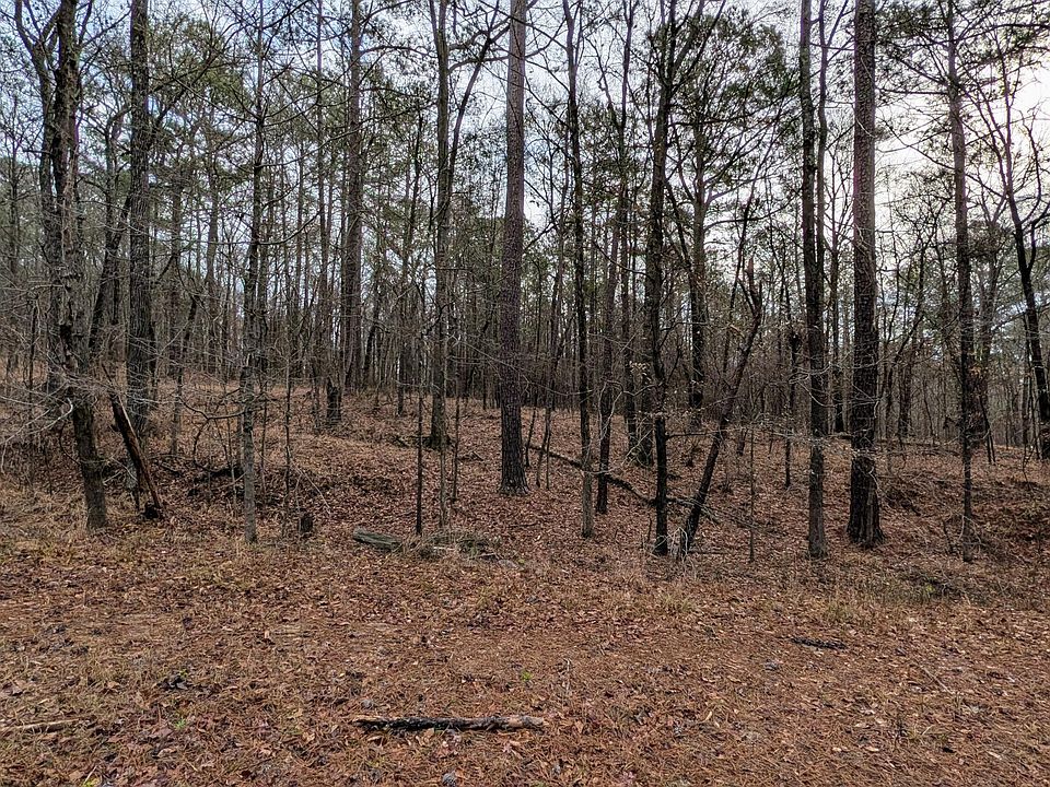 2nd image of 0 State Highway 87