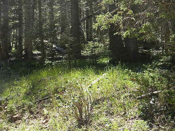 3rd image of 3074 Henderson Dr