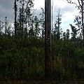 3rd image of Ginger Ln Lot 25