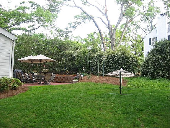 Back yard