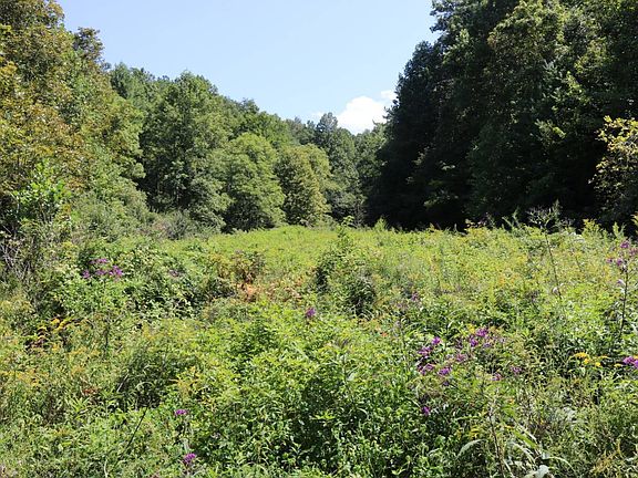 3rd image of 219 Carl Brooks Rd