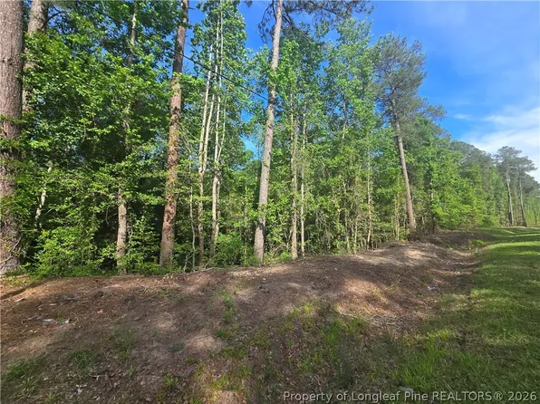 Tbd Cabins Creek Rd, Vass, NC 28394