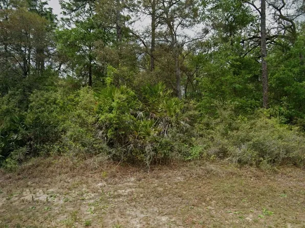 8846 N Gilovu Dr, Dunnellon, FL 34433