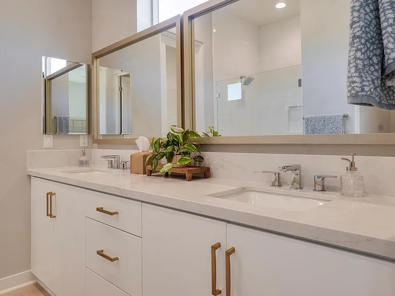 Master Suite Bathroom