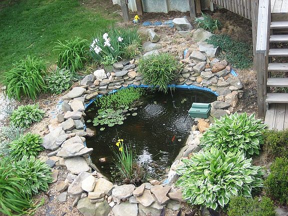 fish pond