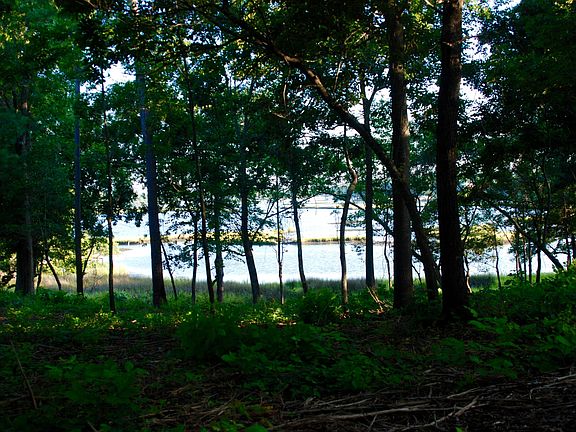 3rd image of 00 Ballast Point Road