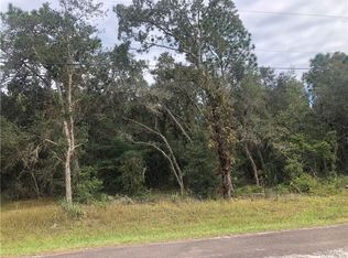 175 E Lancaster St, Lecanto, FL 34461