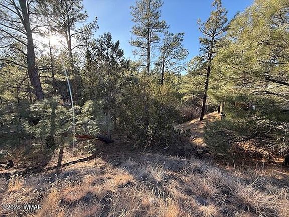 2nd image of 2561 W Rogers Dr