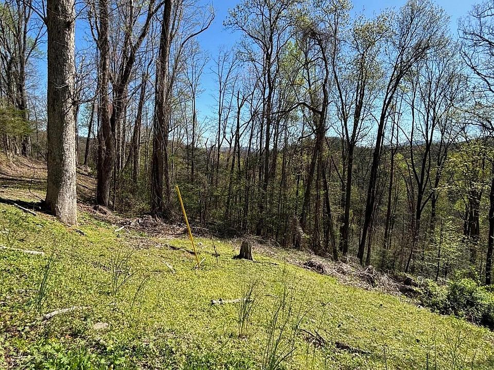 1st image of 0 Low Gap Rd