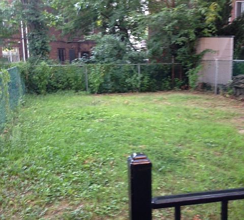 4th image of 8717 63rd Ave