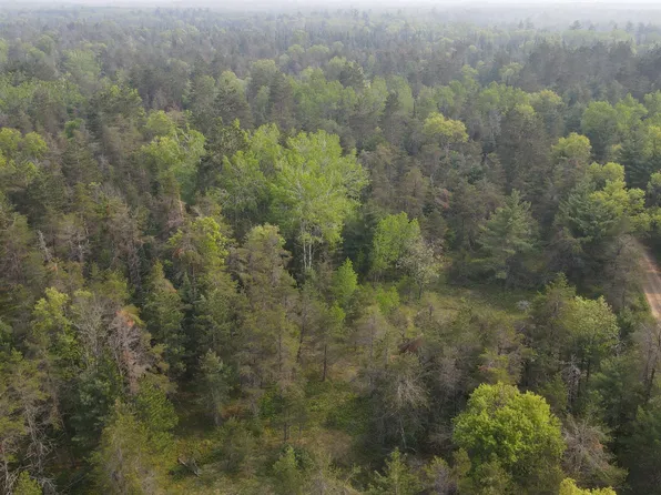 PARCEL Cherry Creek Trl #C, Grayling, MI 49738