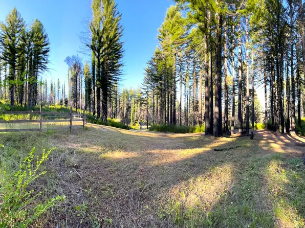 20175 Big Basin Way, Boulder Creek, CA 95006