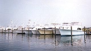 5th image of 100 OLDE TOWNE YACHT CLU #414